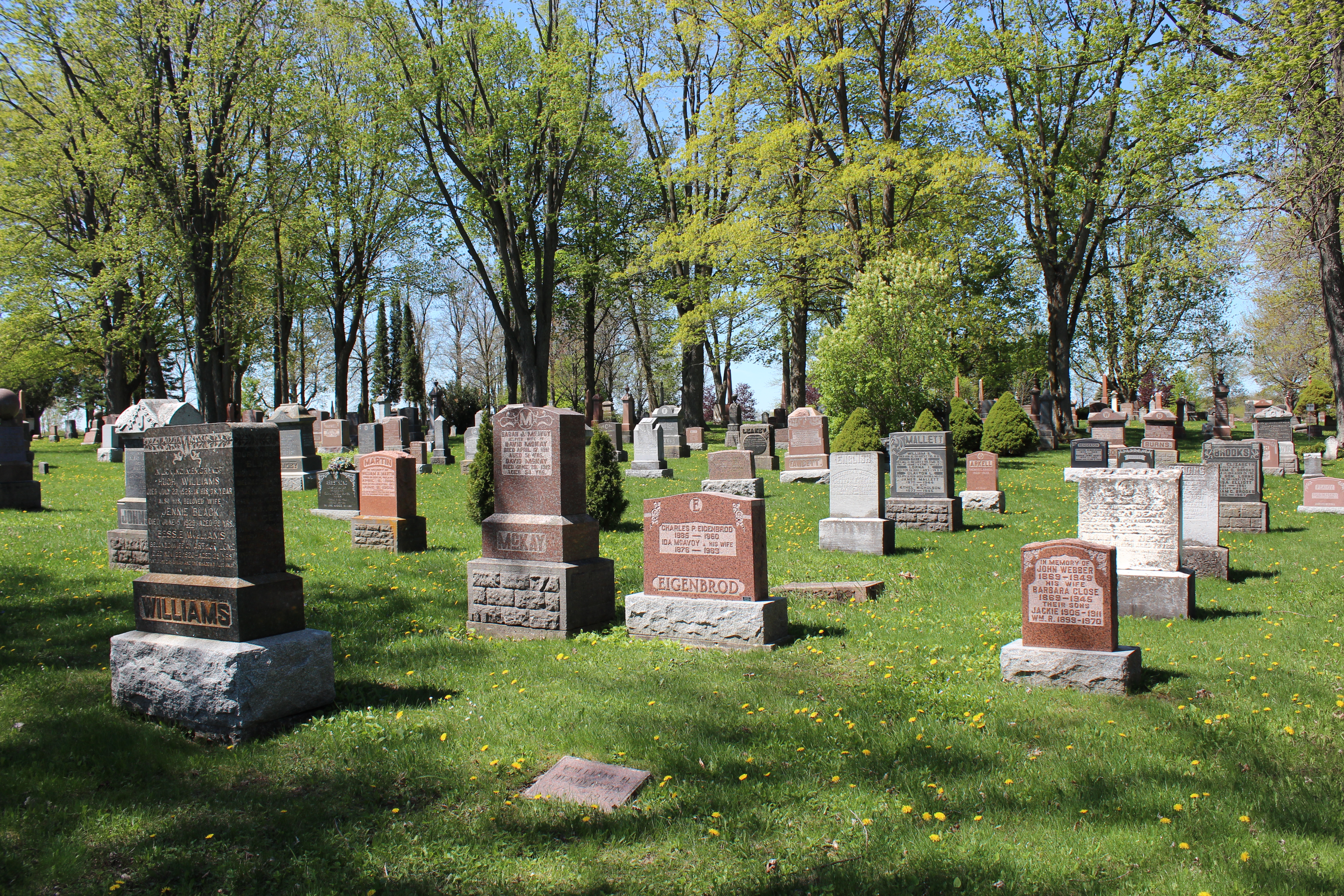 Headstone in Public Cemetery 