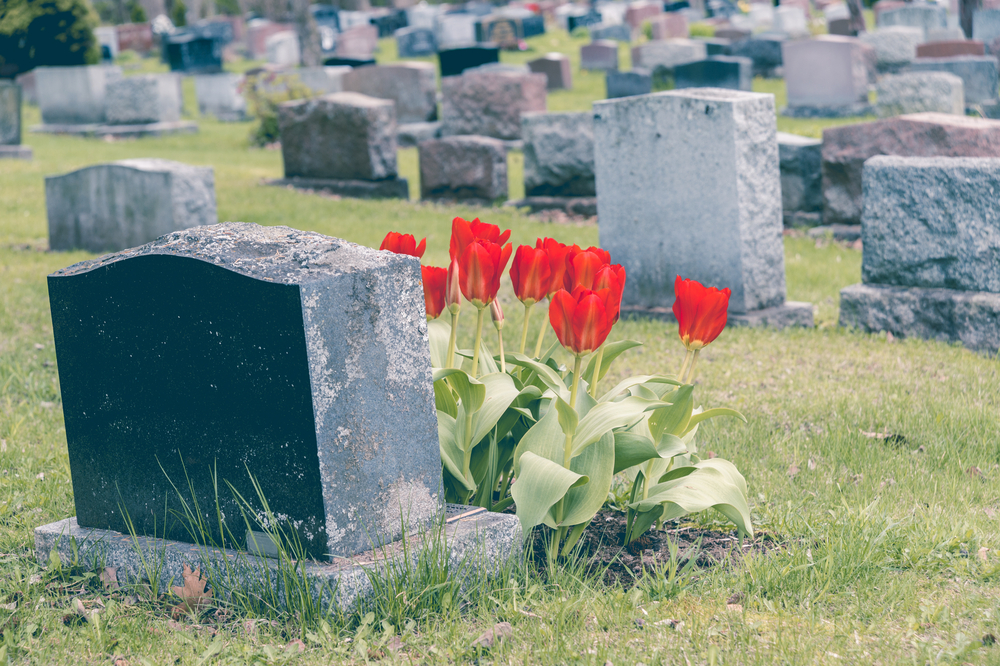 headstones in cemetery headstones in cemetery