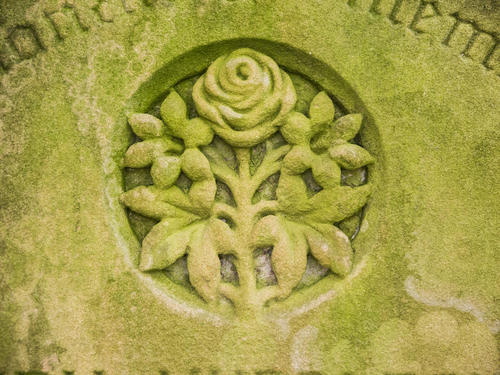 rose engraved on a headstone