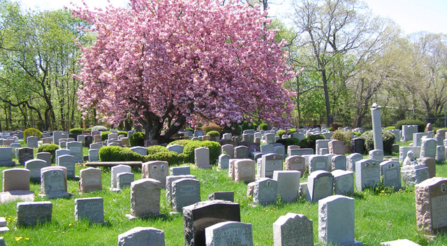 Bideawee Cemetery